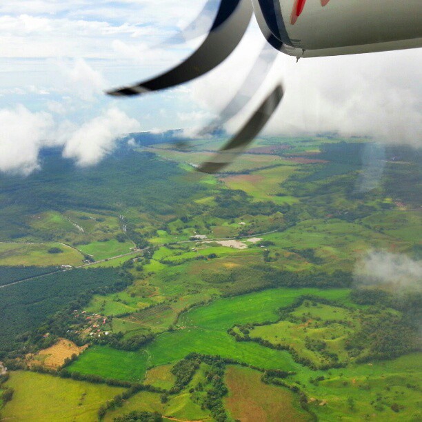 green airplane