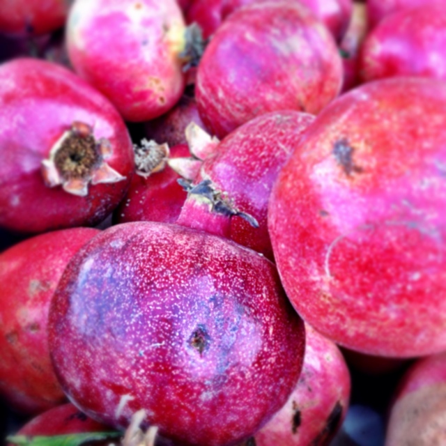 Large pomegranates in Israel