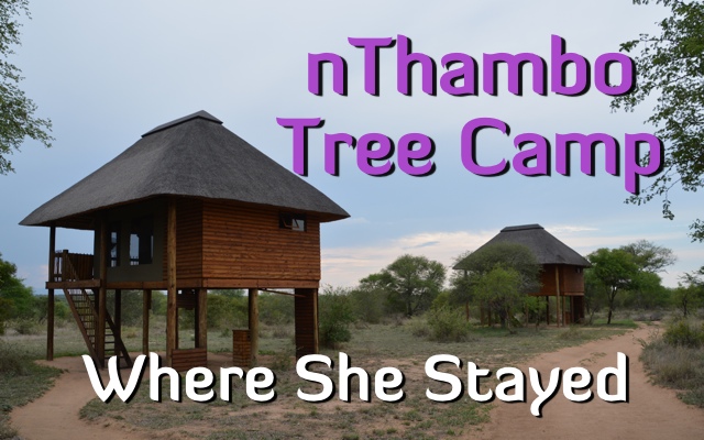 nthambo tree camp on Where She Stayed