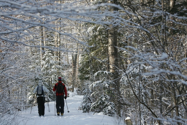 cross country skiing in Lake Placid - Kristin Strack - My Perfect Day in Lake Placid, NY