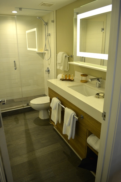 modern, clean and sleek bathroom, stand up shower, toothbrush holder - Amara Cay Resort Review in the Florida Keys