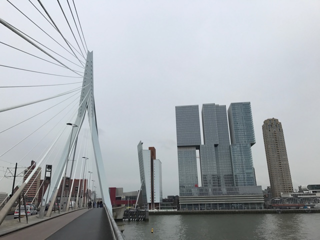 erasmusbrug bridge and nhow hotel rotterdam in de rotterdam building - First-Timers Guide for Visiting Rotterdam