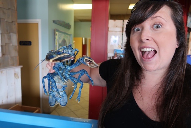 top Halifax travel blogger halifax travel blog Cailin ONeil Halifax influencer