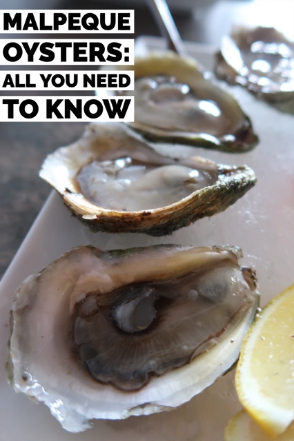 Malpeque Oysters- All You Need To Know